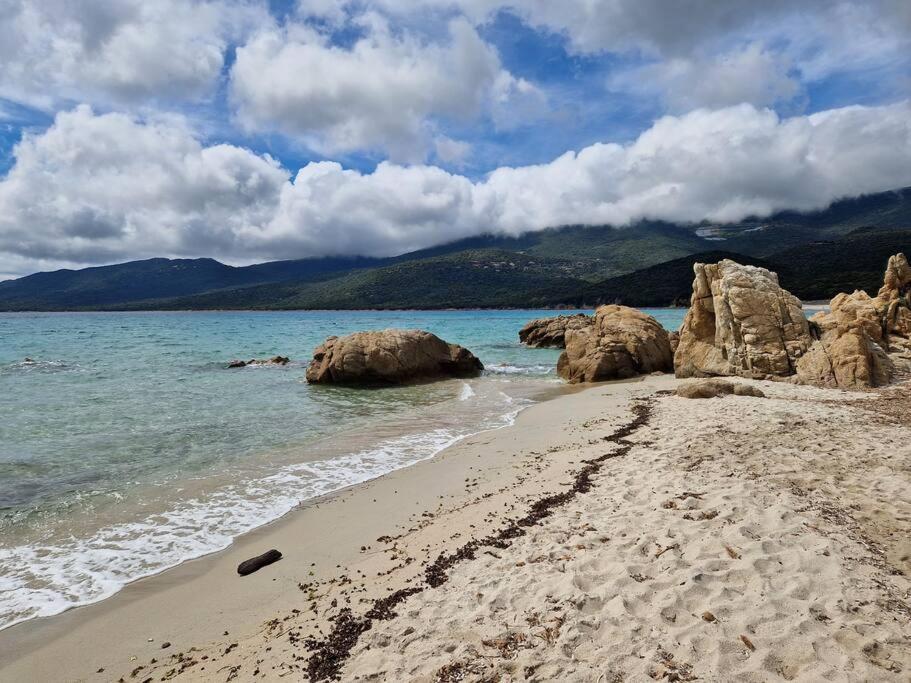 Mini Villa 69 - Piscine Chauffee Serra-di-Ferro  Exteriör bild